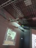 IMG-20251104-WA0028