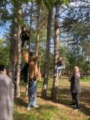 IMG-20251028-WA0023