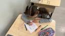 IMG-20251107-WA0035