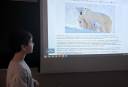 IMG-20251006-WA0034