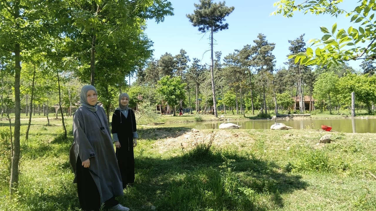 Экскурсия в заповедник 5 «в»