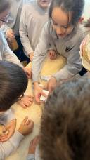 IMG-20251008-WA0027